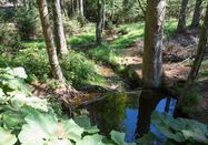 WasserWegeWinkel, Sandra Püttmann
