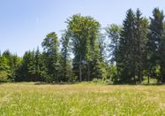 Nordeifel Tourismus