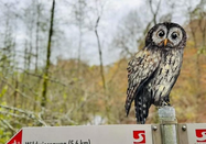 Felix Knopp, Rhein-Sieg Tourismus