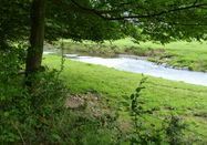 Sonja Wilms, Rhein-Sieg Tourismus, Picasa
