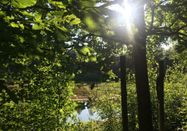 Naturpark Hohe Mark e.V., Dagmar Beckmann