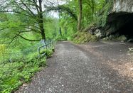 Naturpark Arnsberger Wald - Janine Plugge